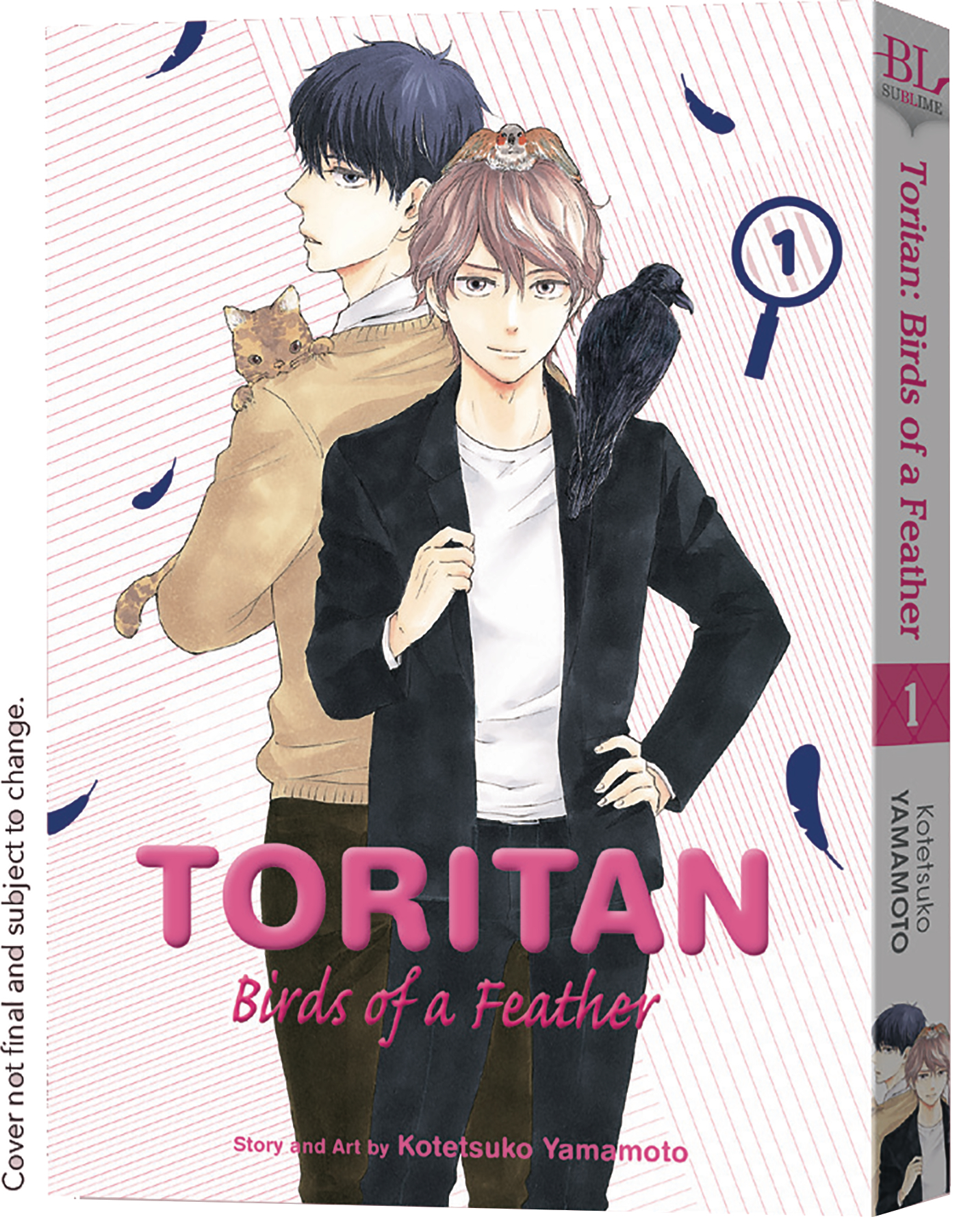 Toritan Birds of A Feather Manga Volume 1 (Mature)