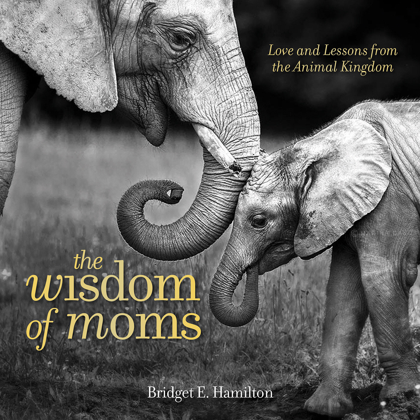 The Wisdom Of Moms (Hardcover Book)
