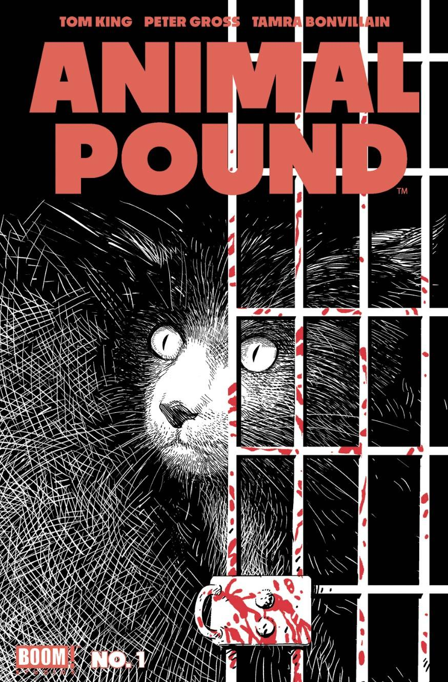 Animal Pound #1 2nd Printing (Mature) (Of 4)