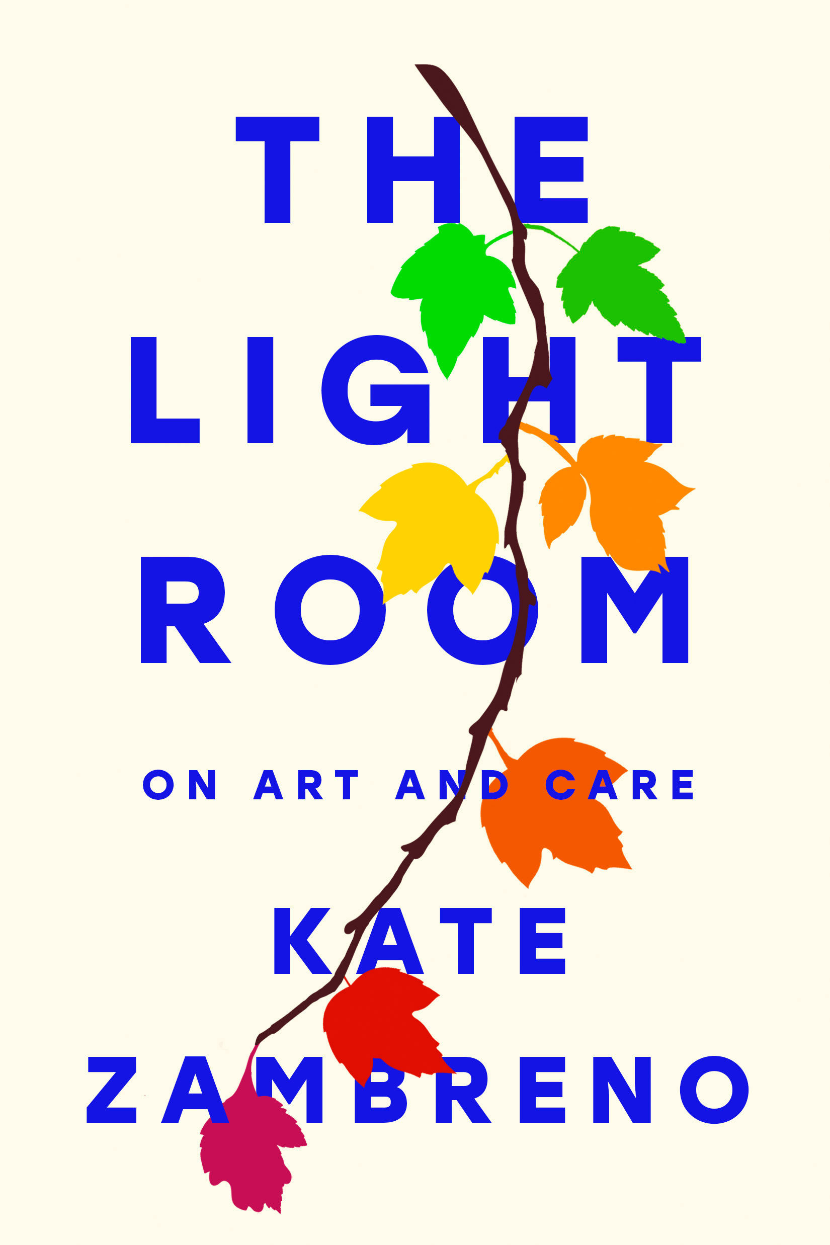 The Light Room (Hardcover Book)