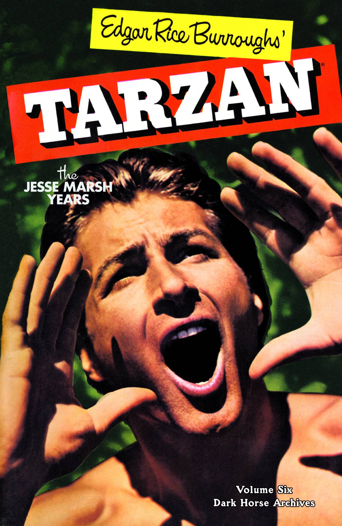 Tarzan The Jesse Marsh Years Hardcover Volume 6