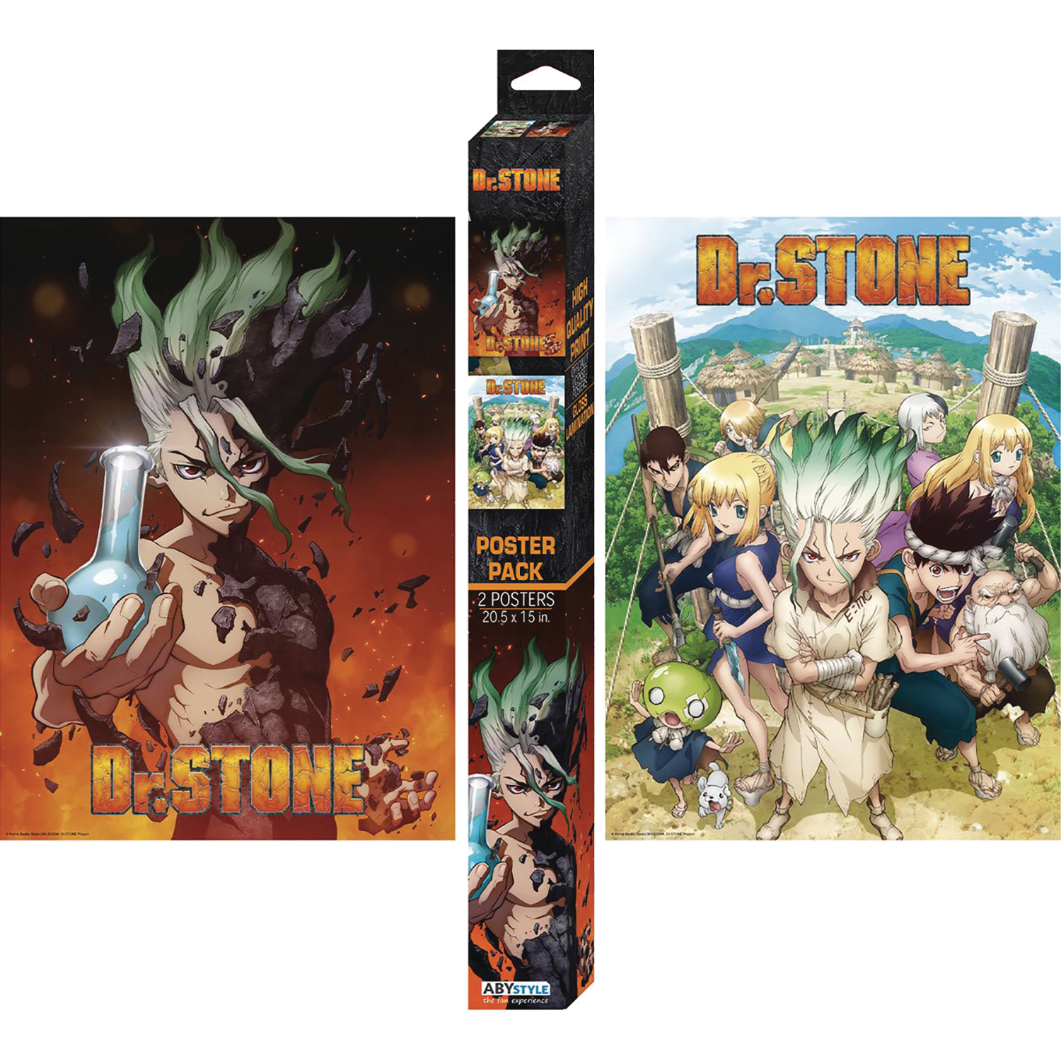 Dr Stone Boxed 2 Piece Poster Set