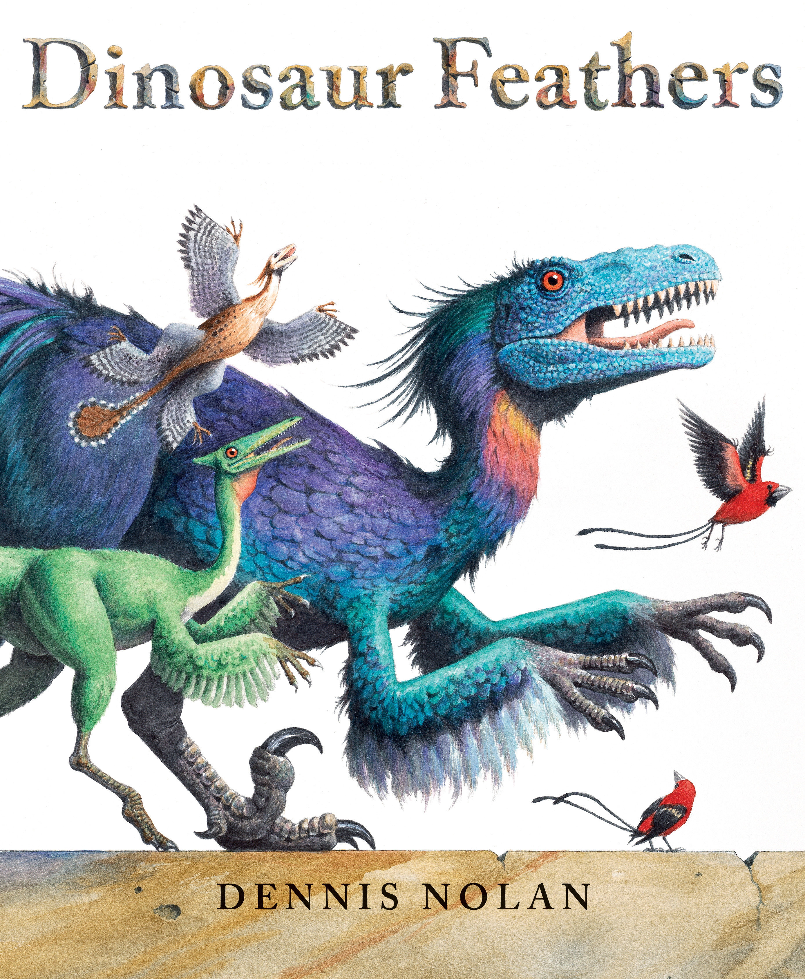 Dinosaur Feathers (Hardcover Book)