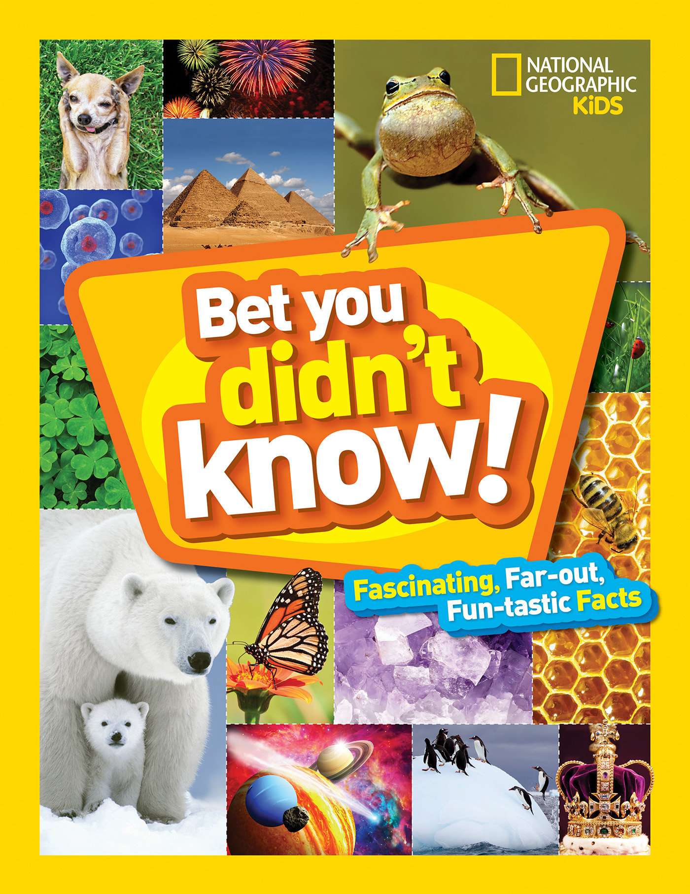 Bet You Didn'T Know (Hardcover Book)