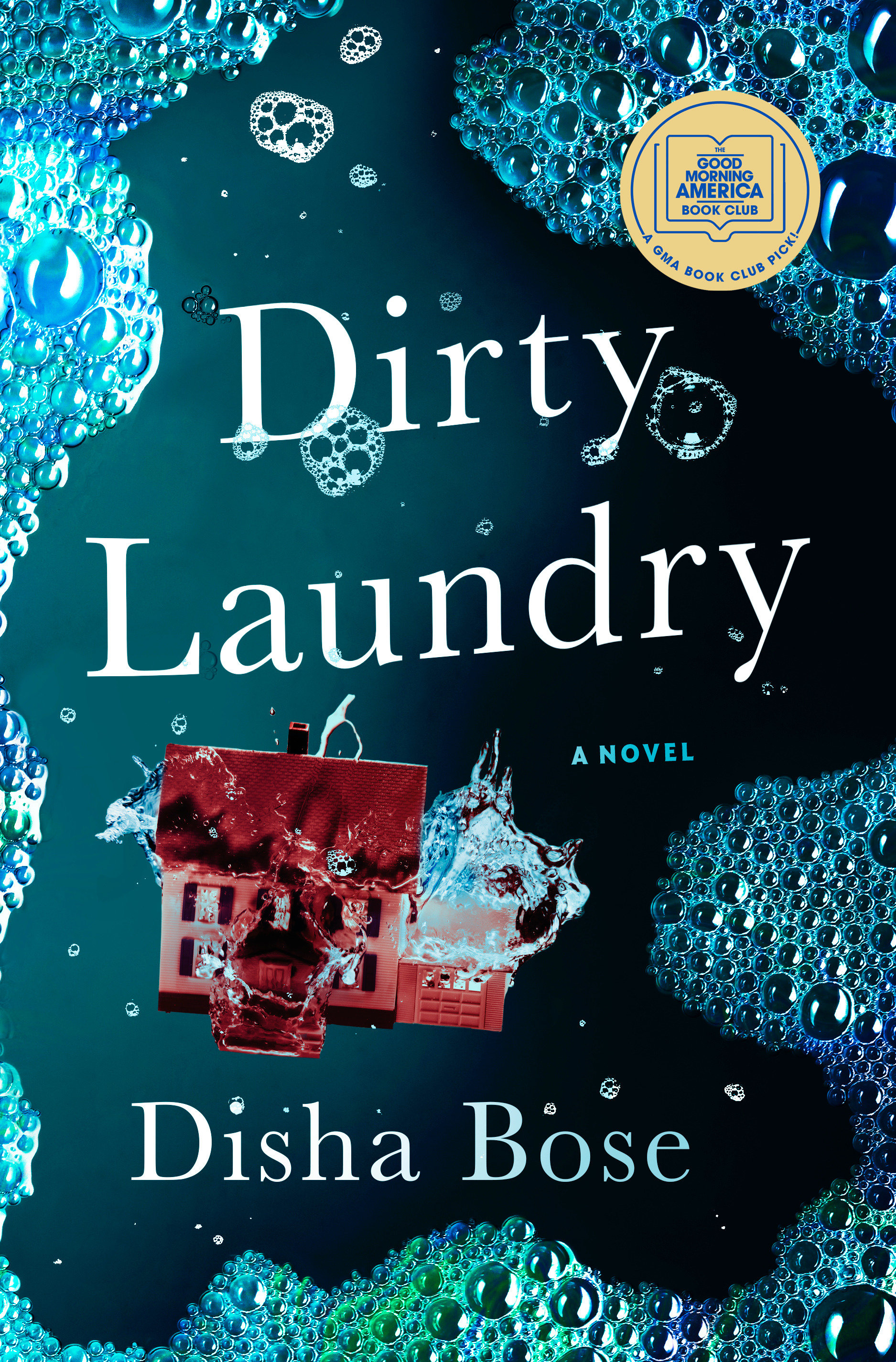 Dirty Laundry (Hardcover Book)