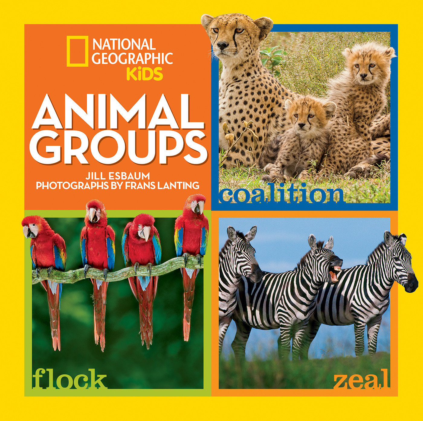 Animal Groups (Hardcover Book)
