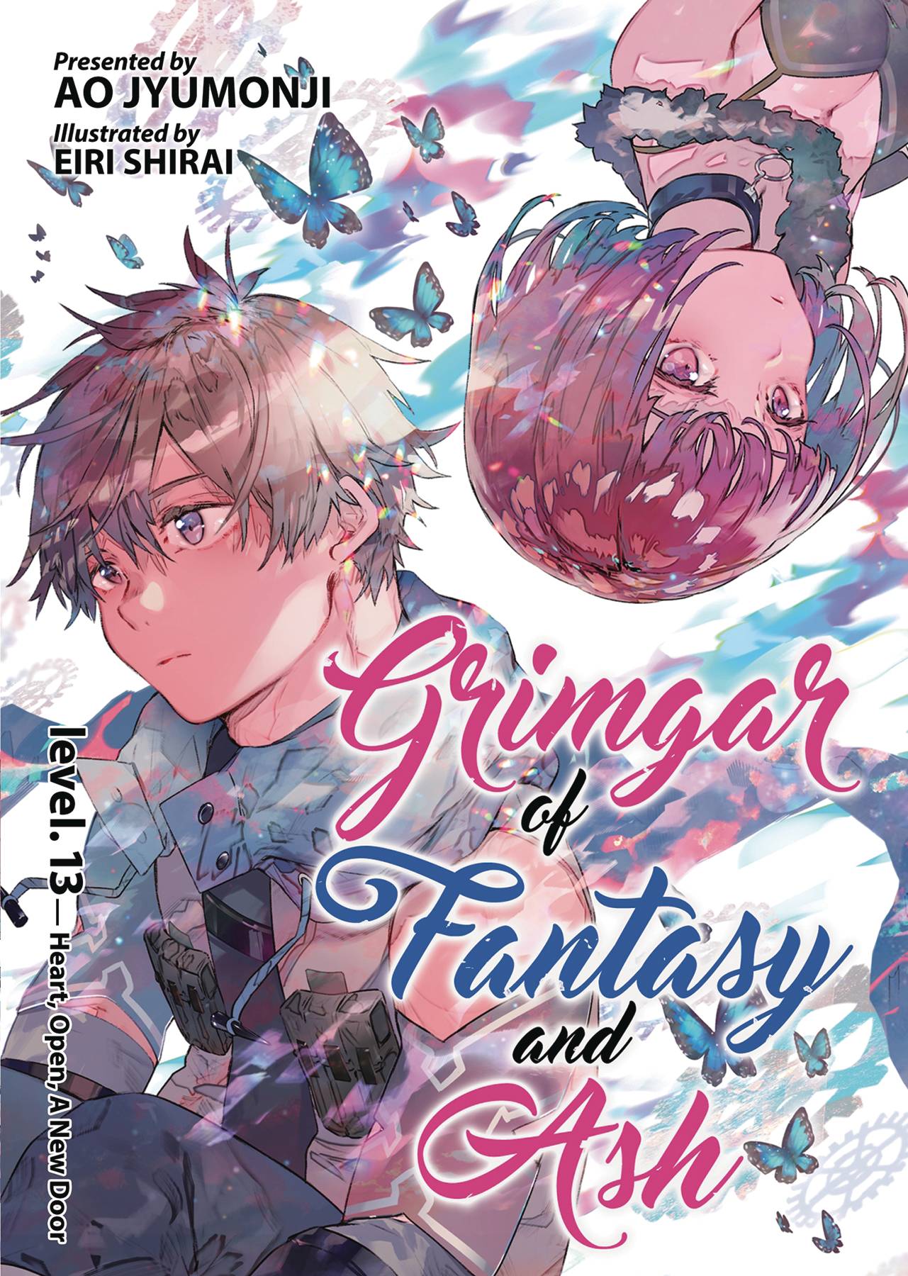 Grimgar of Fantasy & Ash Light Novel Volume 13