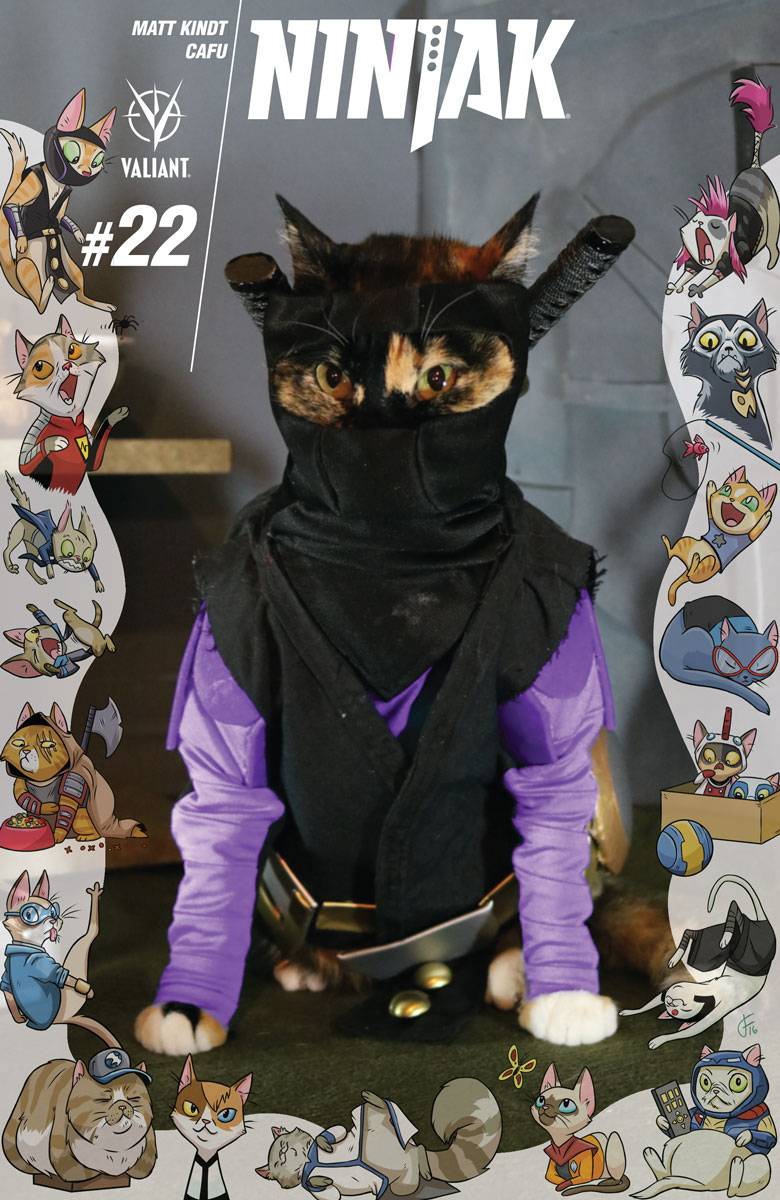 Ninjak #22 Cover C Cat Cosplay