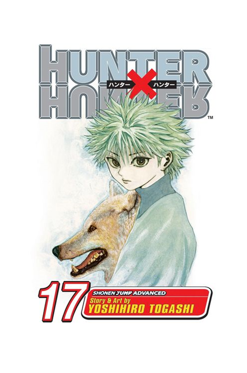 Hunter X Hunter Manga Volume 17