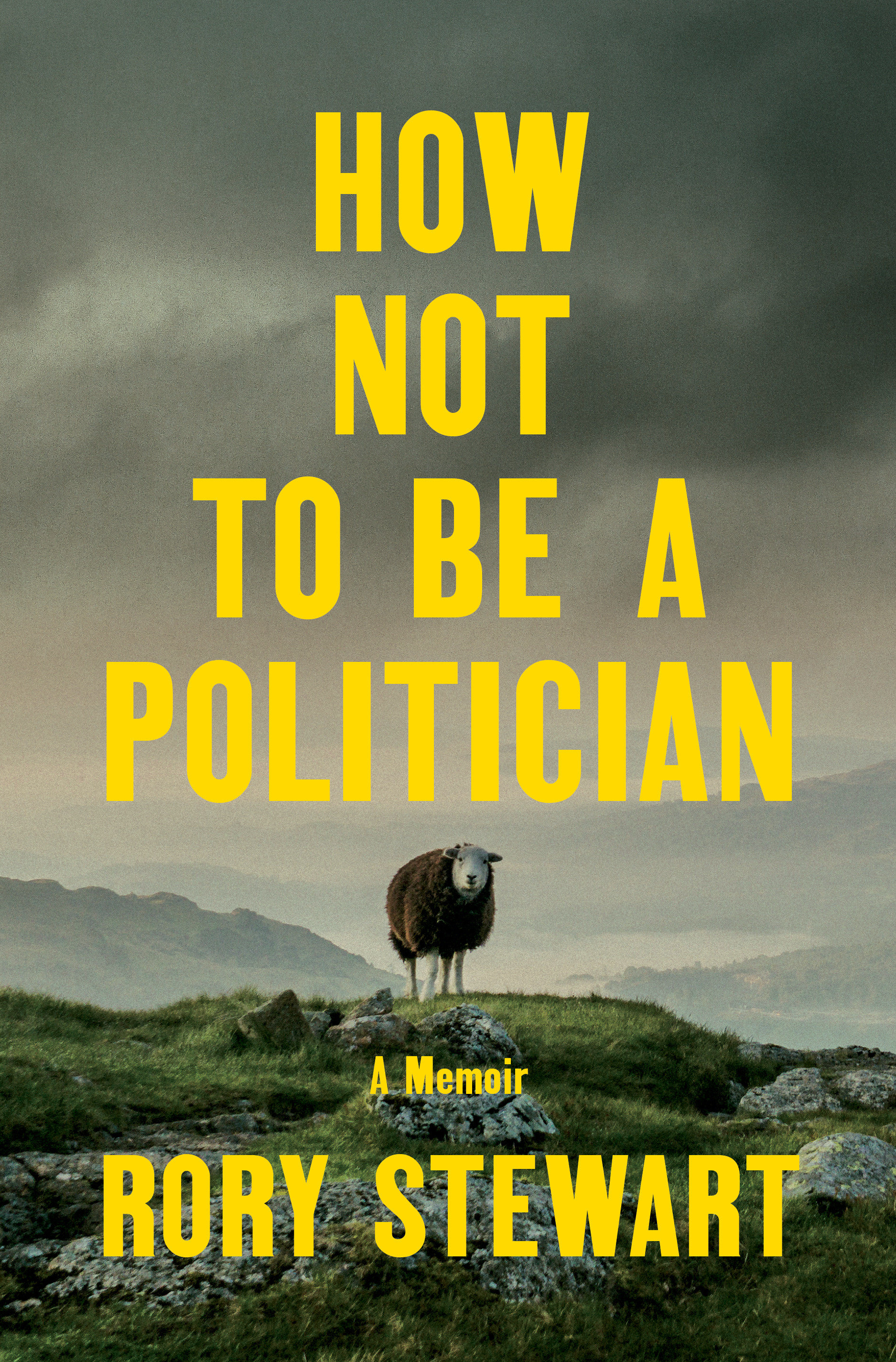 How Not To Be A Politician (Hardcover Book)