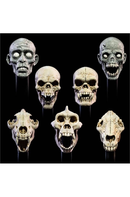***Pre-Order*** Mythic Legions: All Stars 6 Accessorys Undead Heads Pack