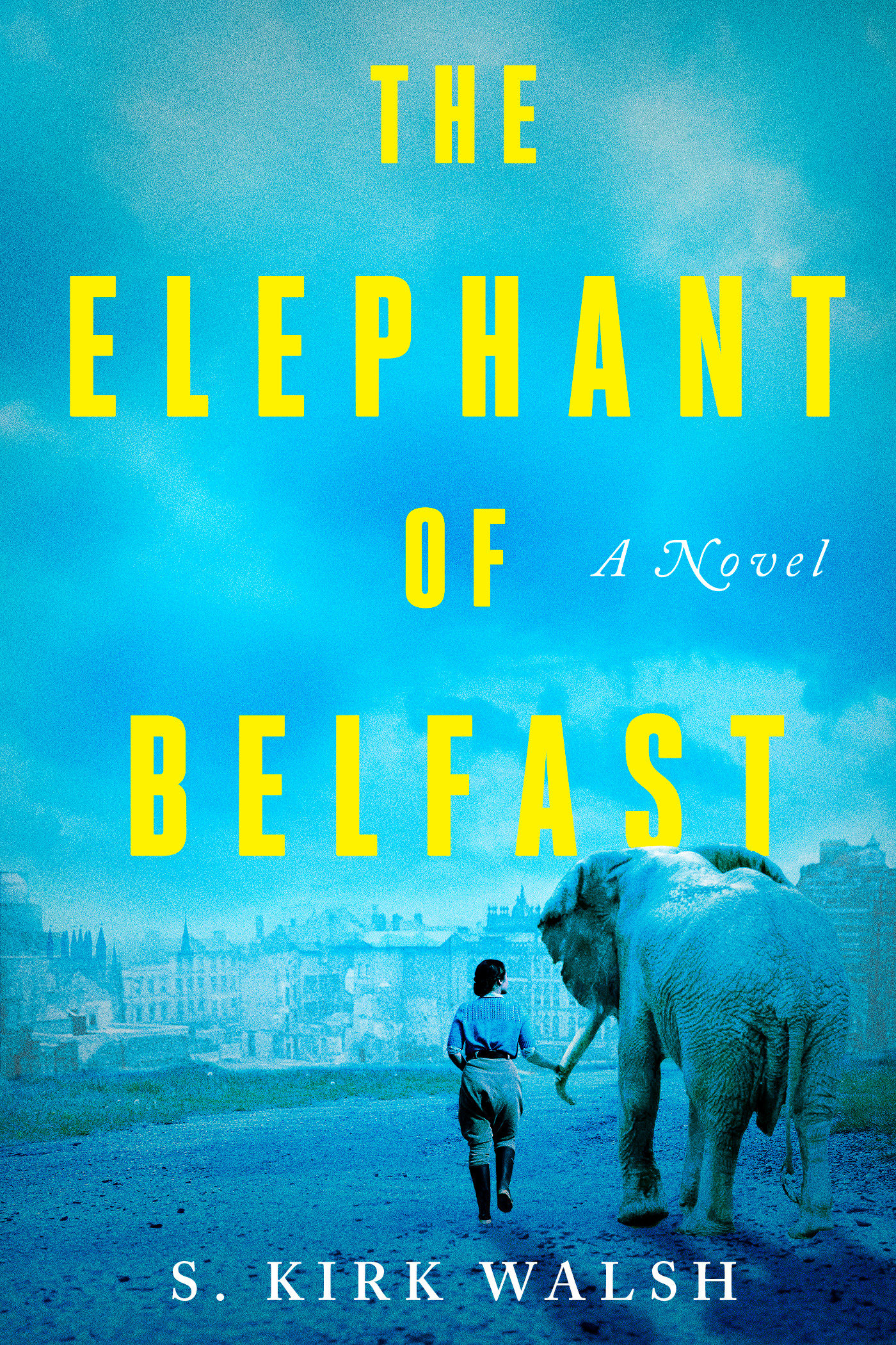 The Elephant Of Belfast (Hardcover Book)
