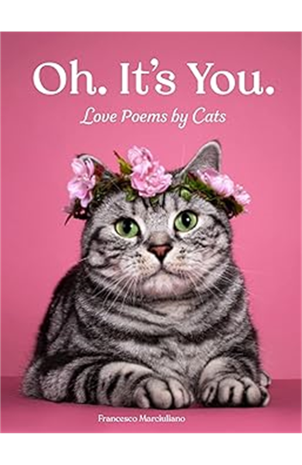 Oh. It's You.: Love Poems By Cats 