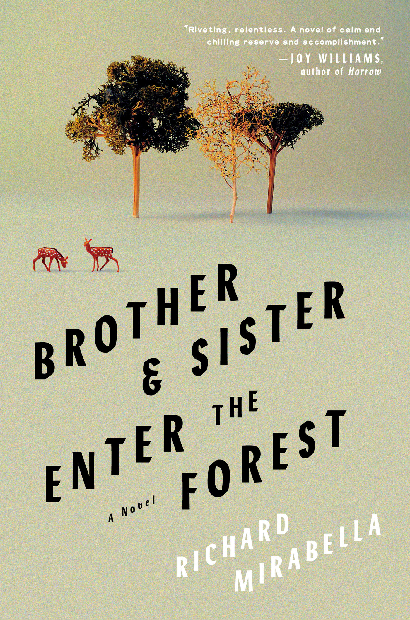 Brother & Sister Enter The Forest (Hardcover Book)