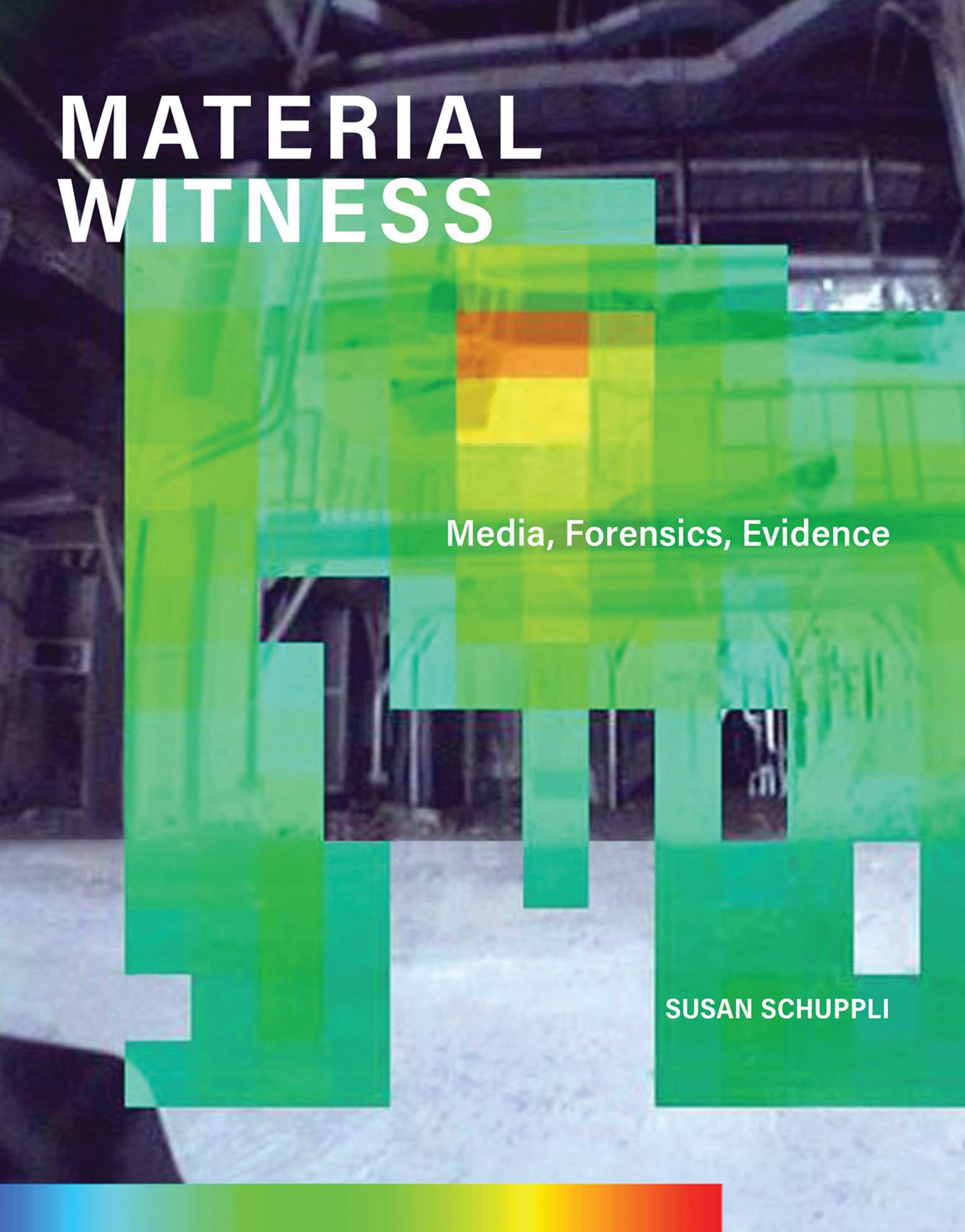 Material Witness (Hardcover Book)