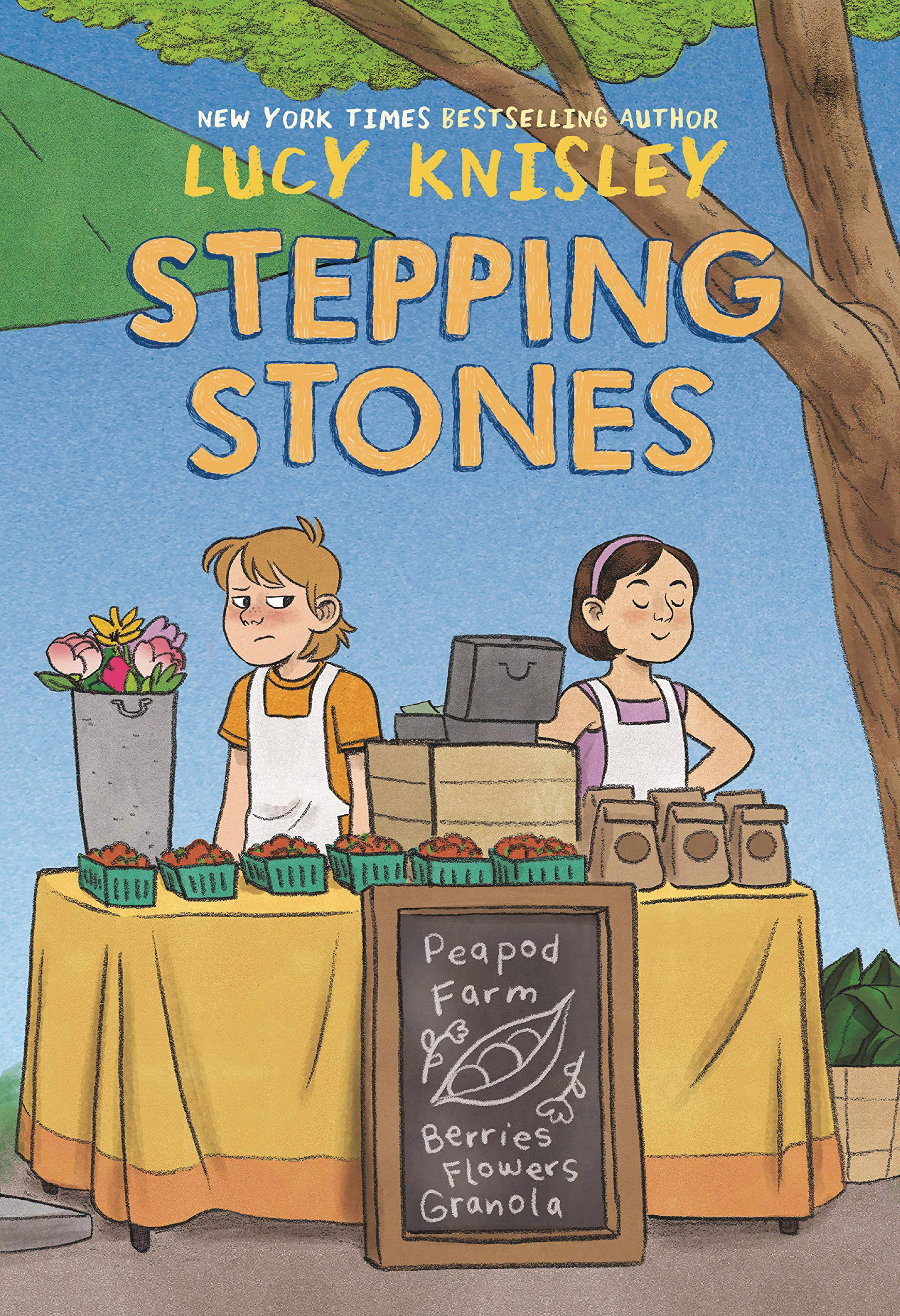 Stepping Stones Graphic Novel