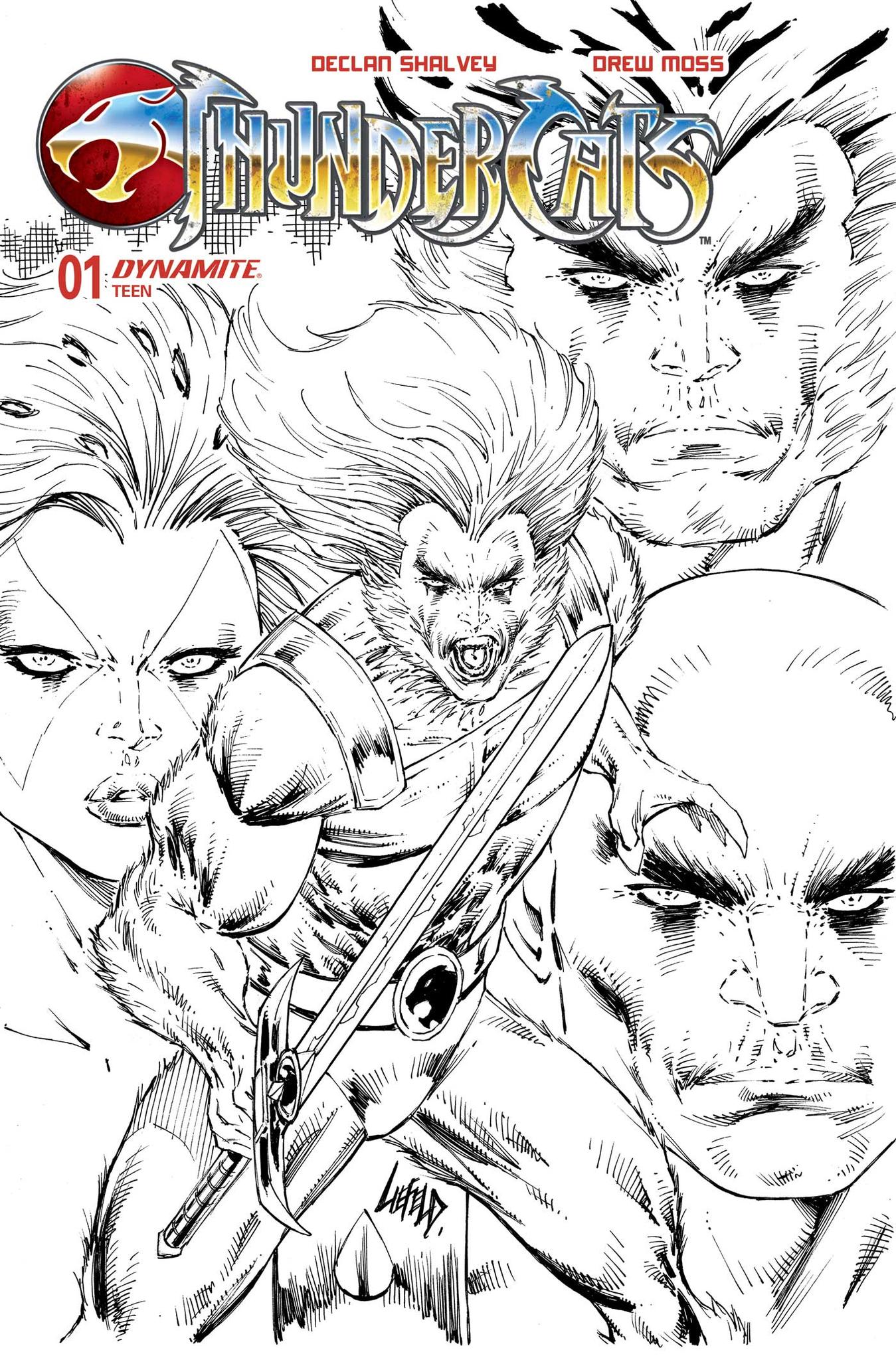 Thundercats #1 Cover Zg 1 For 10 Incentive Liefeld Black & White