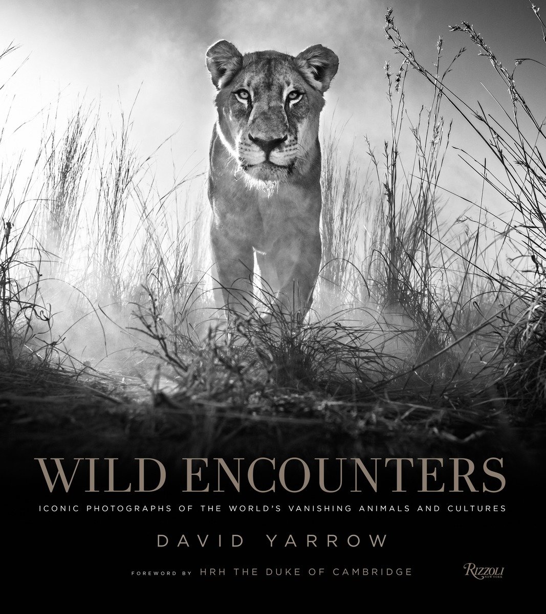 Wild Encounters (Hardcover Book)