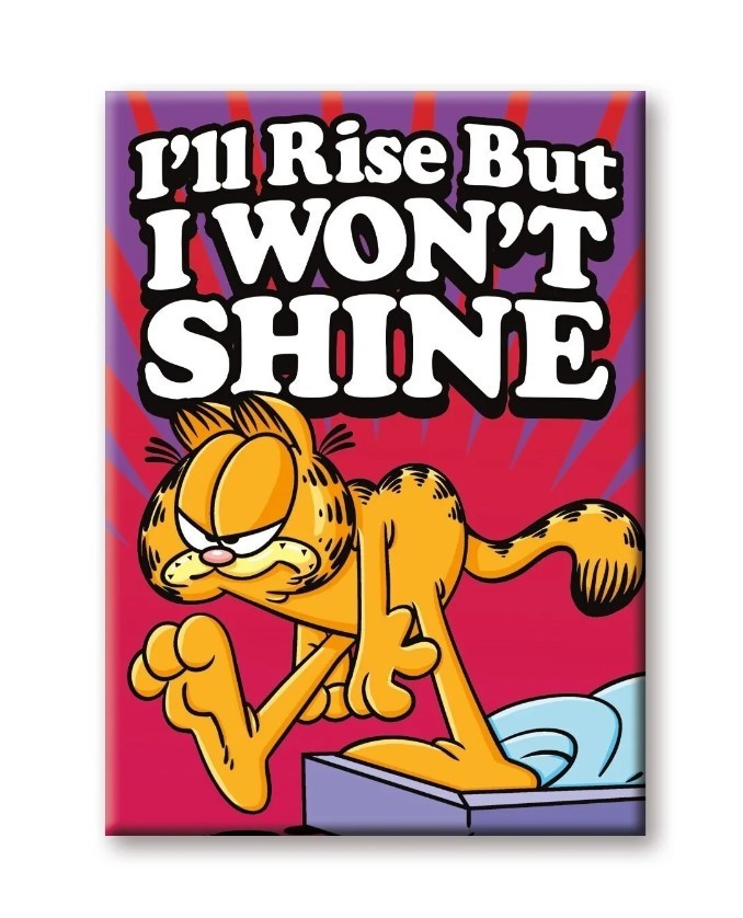 Garfield - I Won't Shine Magnet