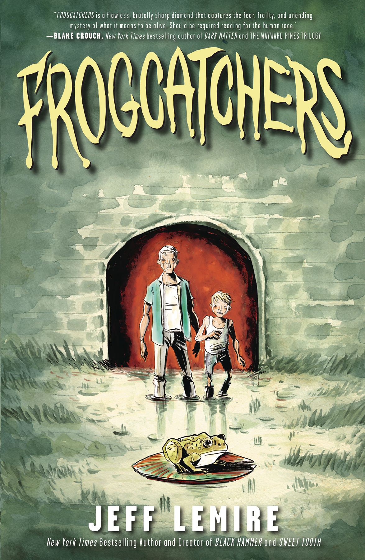 Frogcatchers Soft Cover Graphic Novel