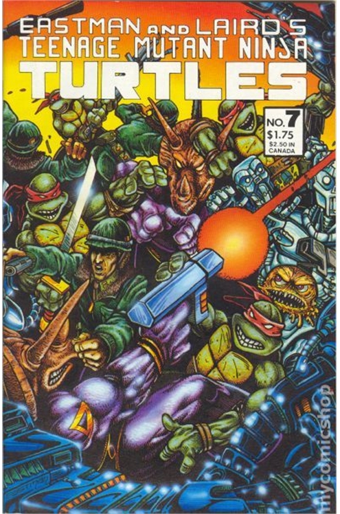 Teenage Mutant Ninja Turtles #7