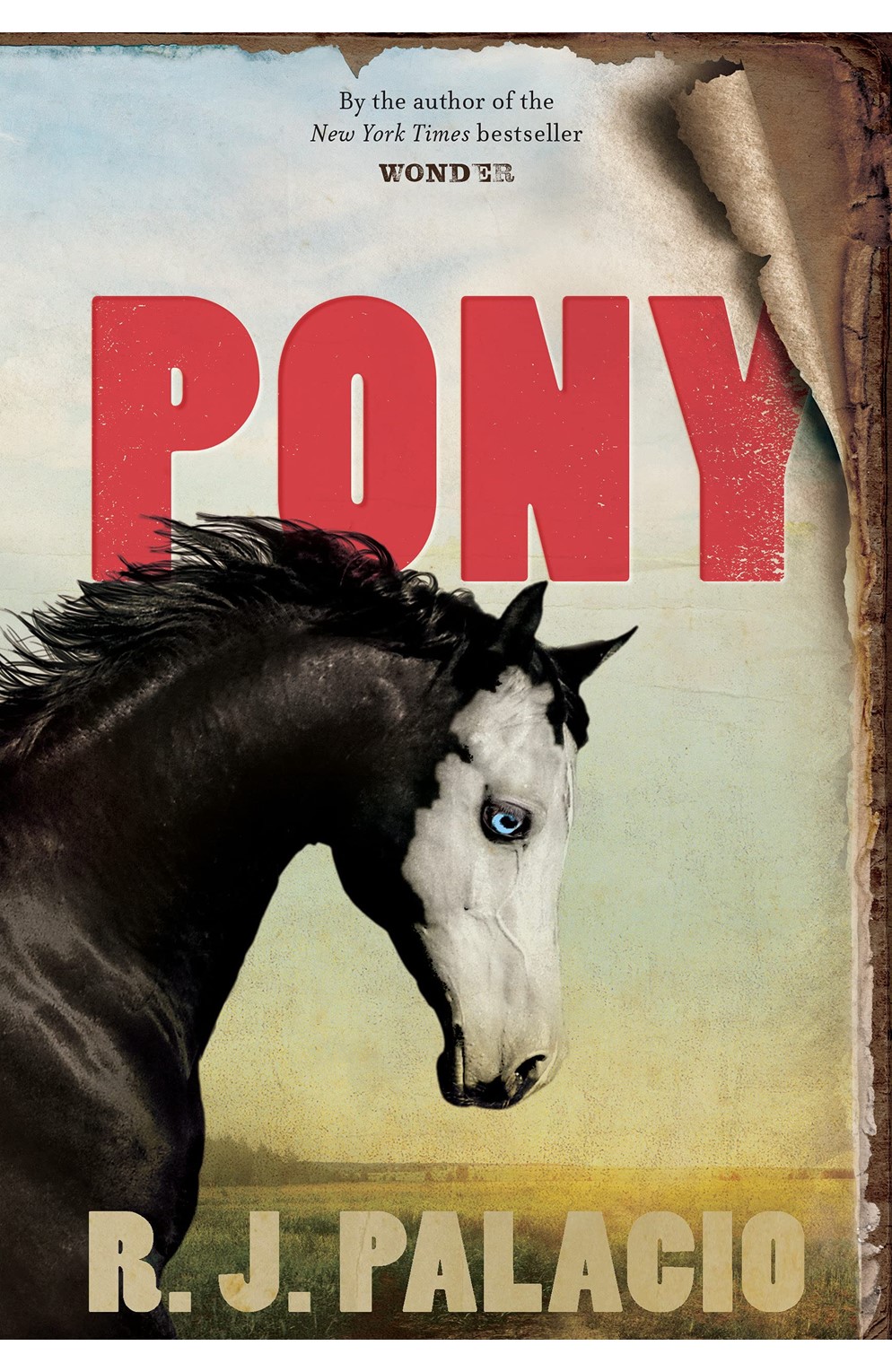 Pony (Novel)