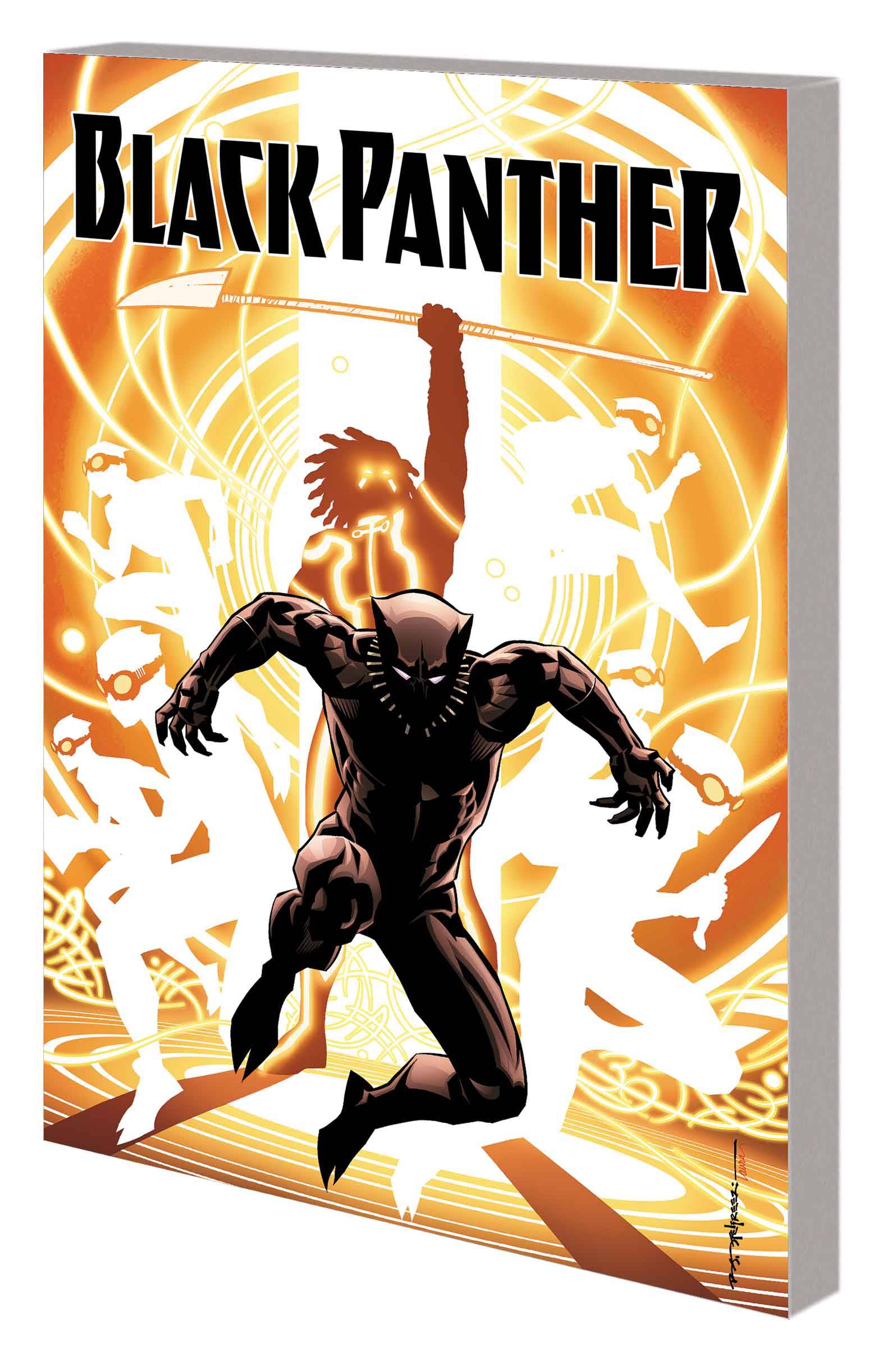 Black Panther Graphic Novel Book 2 Nation Under Our Feet