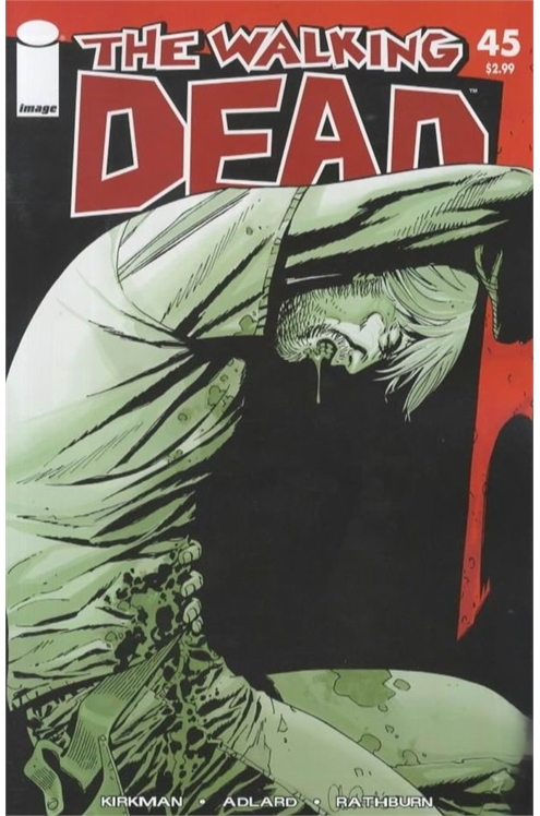 The Walking Dead Volume 1 #45