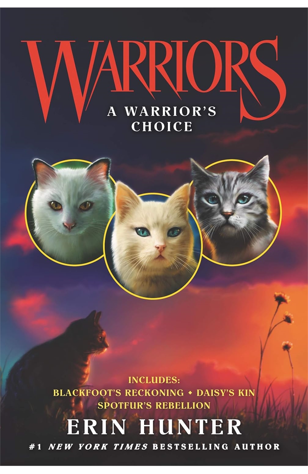 Warriors: A Warrior's Choice