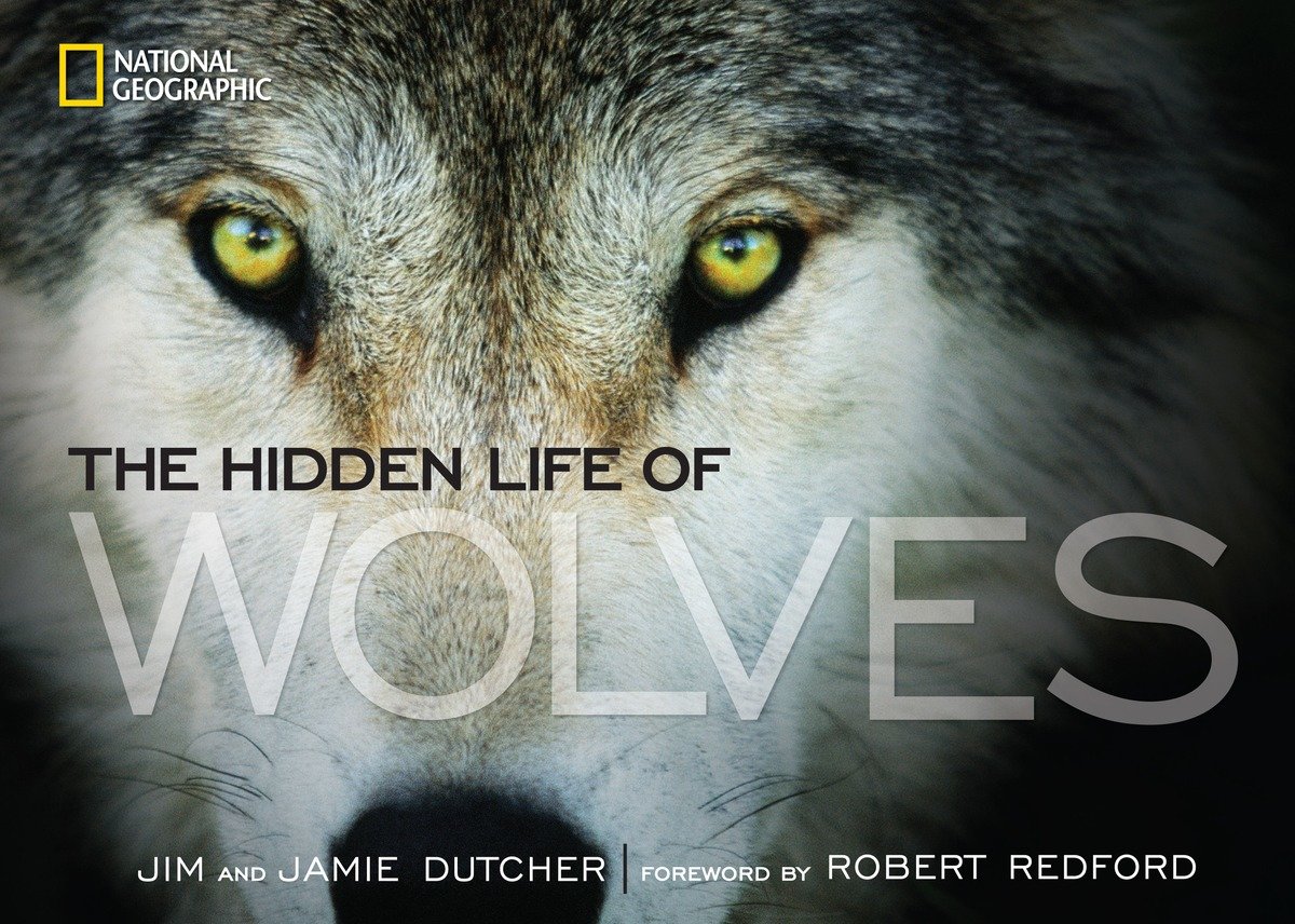 Hidden Life Of Wolves, The (Hardcover Book)