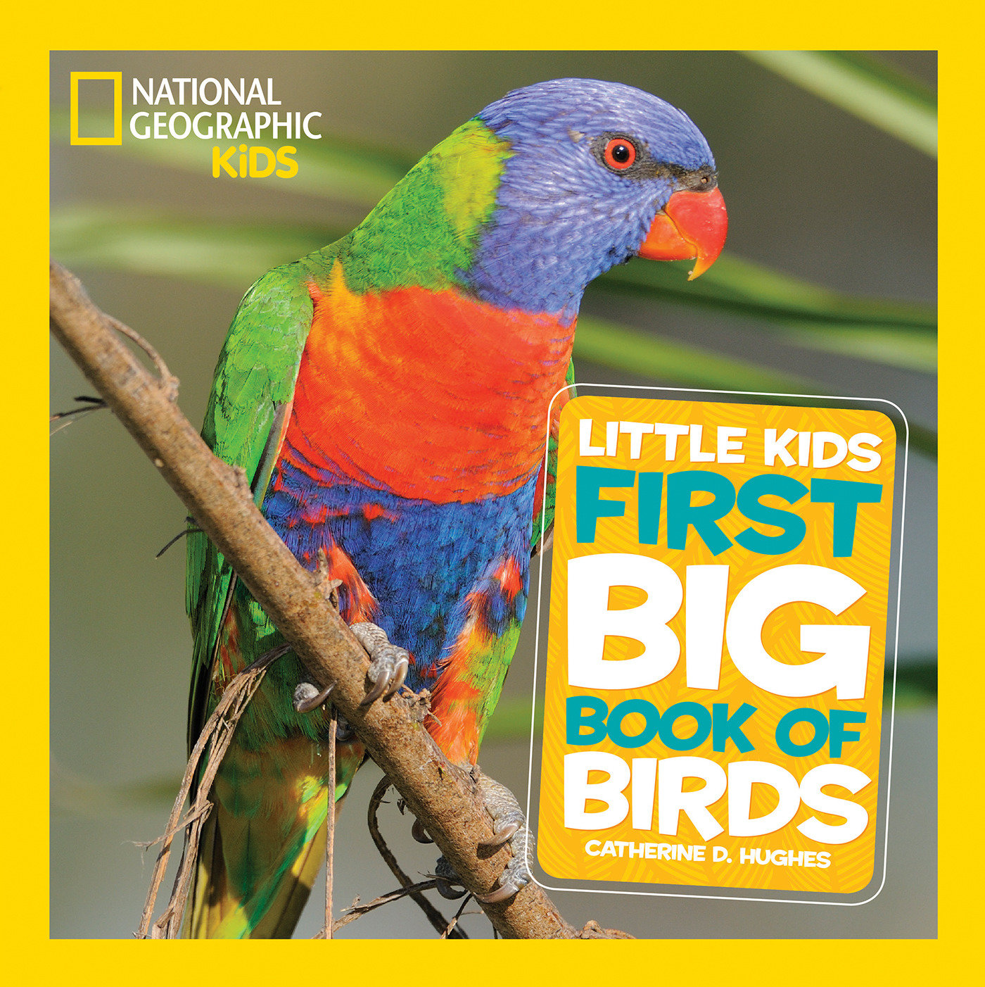 National Geographic Little Kids First Big Book Of Birds (Hardcover Book)