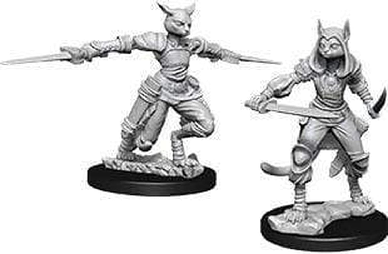 Dungeons & Dragons Nolzur`s Marvelous Unpainted Miniatures: Wave 9 Female Tabaxi Rogue