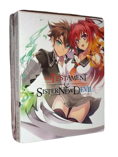 Anime Like The Testament of Sister New Devil BURST
