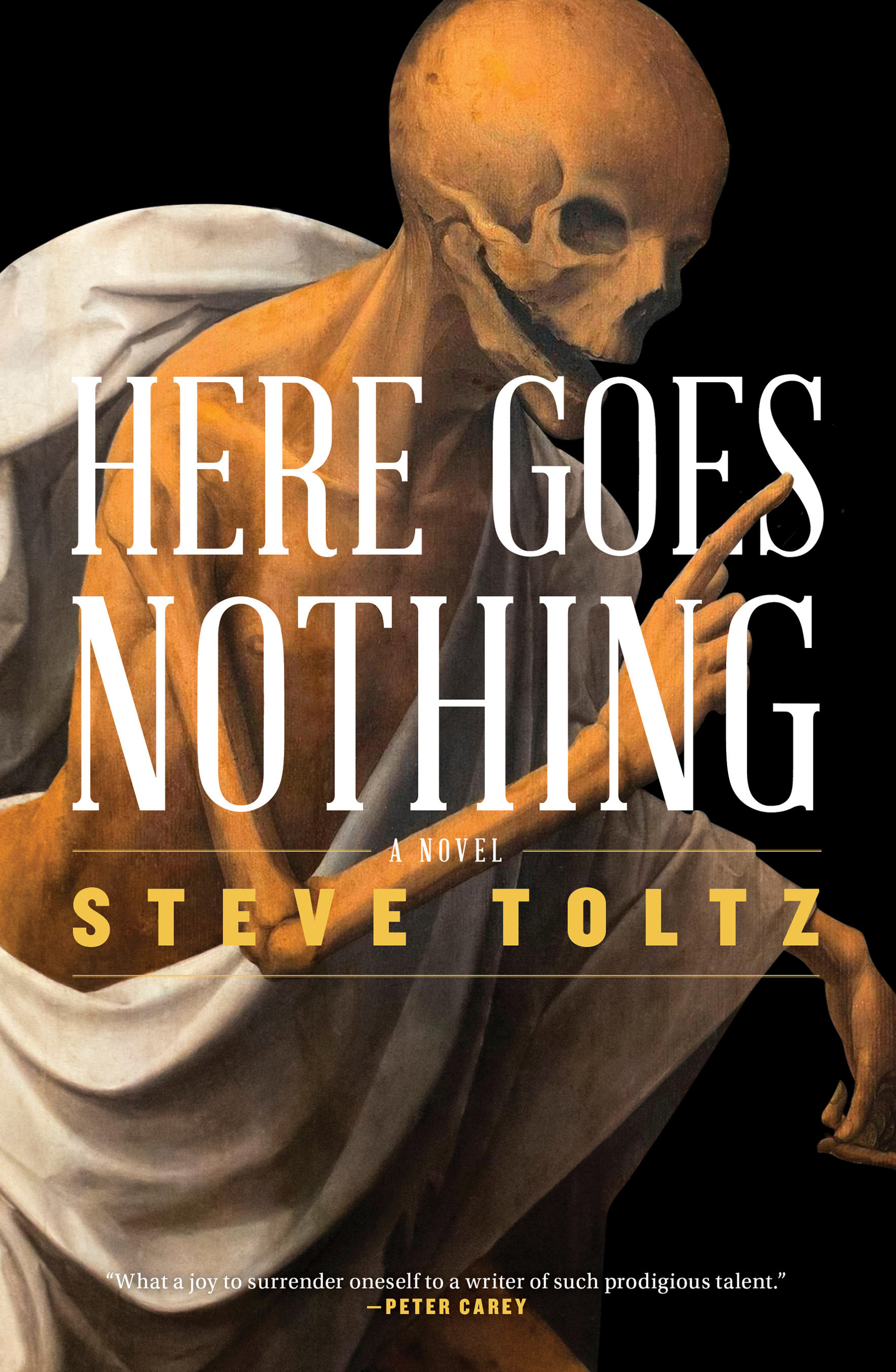 Here Goes Nothing (Hardcover Book)