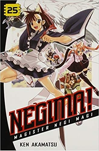 Negima! Volume 25