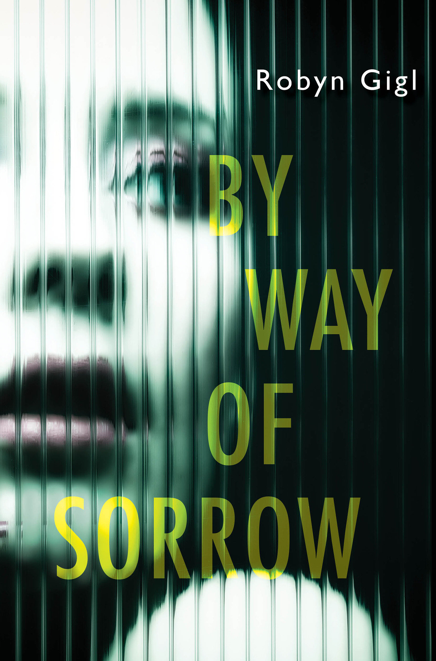 By Way Of Sorrow (Hardcover Book)