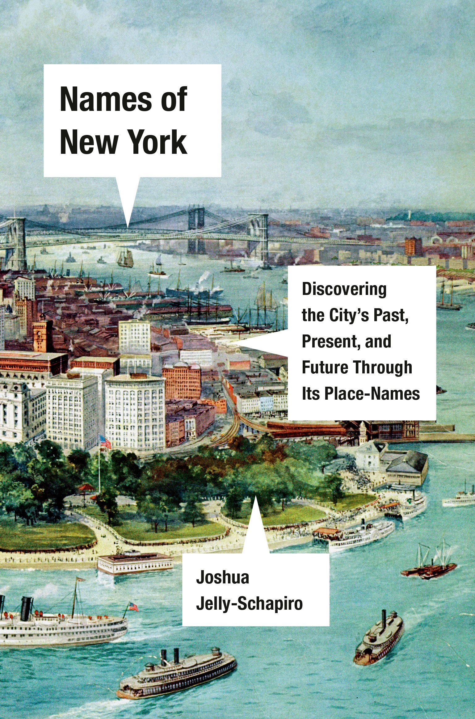 Names Of New York (Hardcover Book)