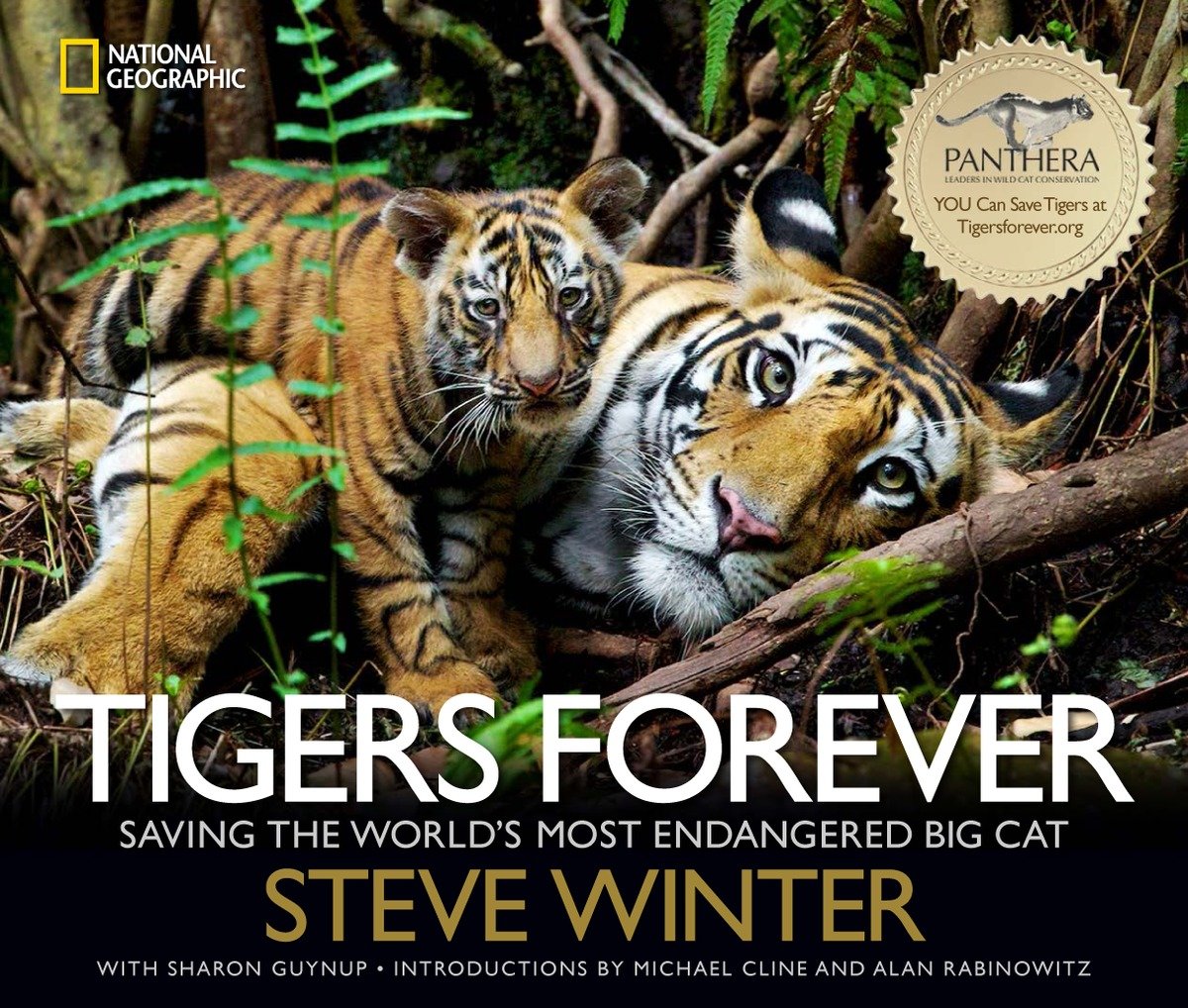 Tigers Forever (Hardcover Book)