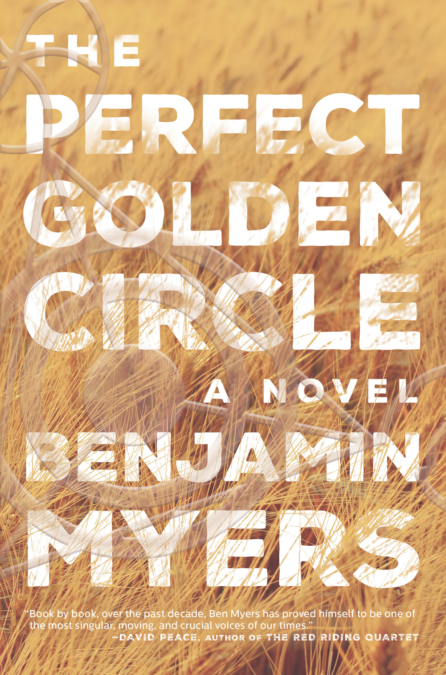 The Perfect Golden Circle (Hardcover Book)