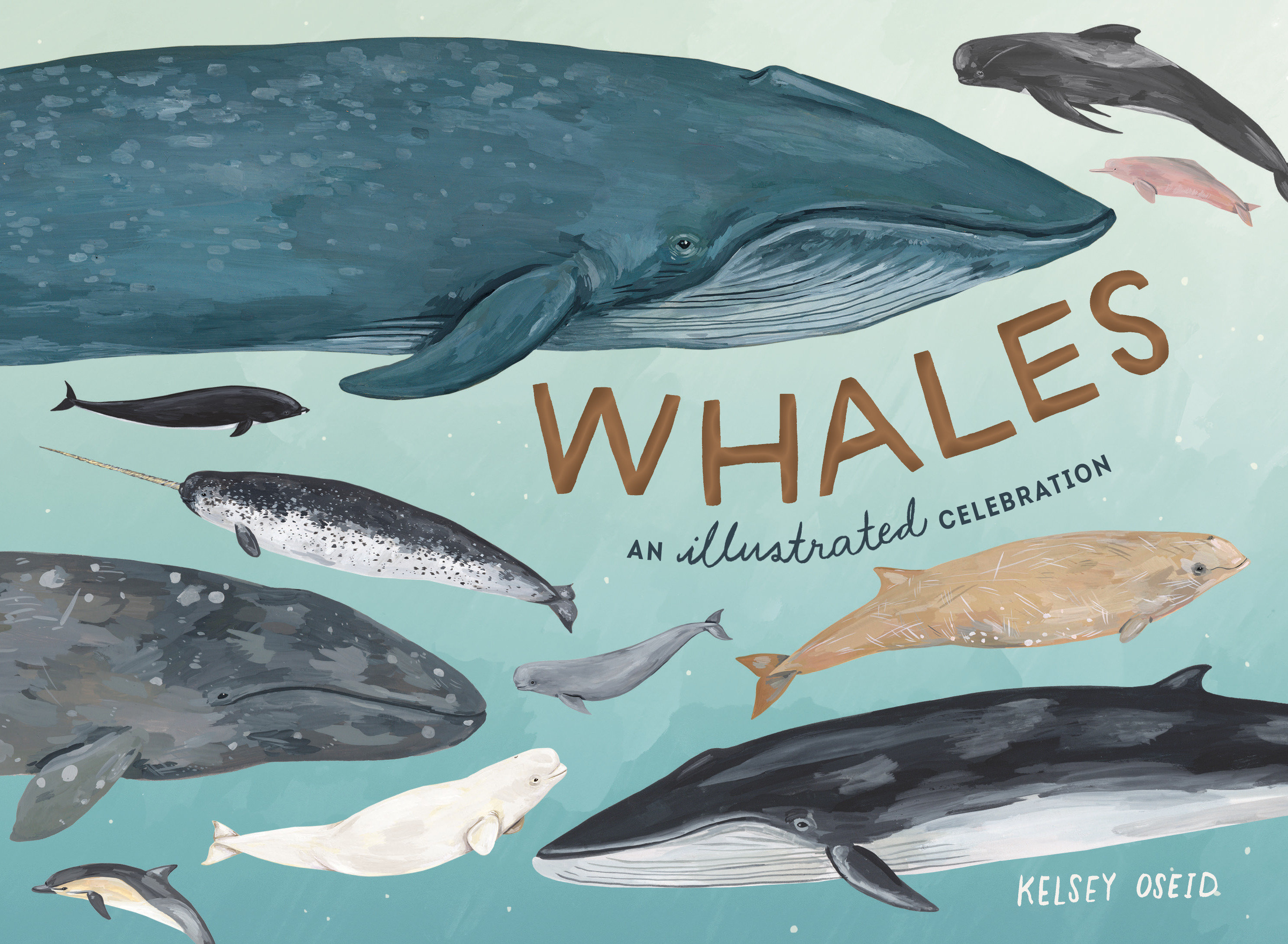 Whales (Hardcover Book)