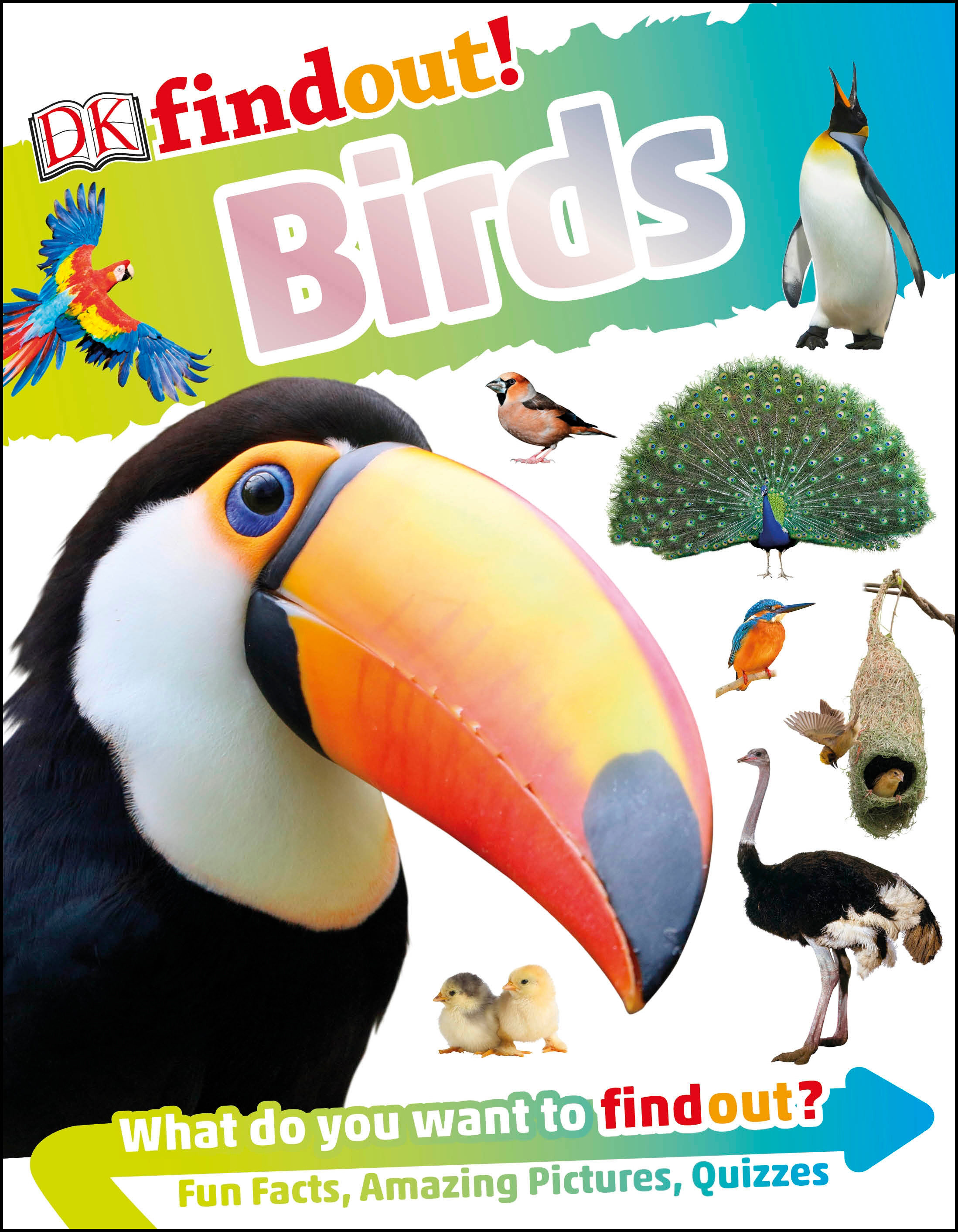 DK Findout Volume 2 Birds