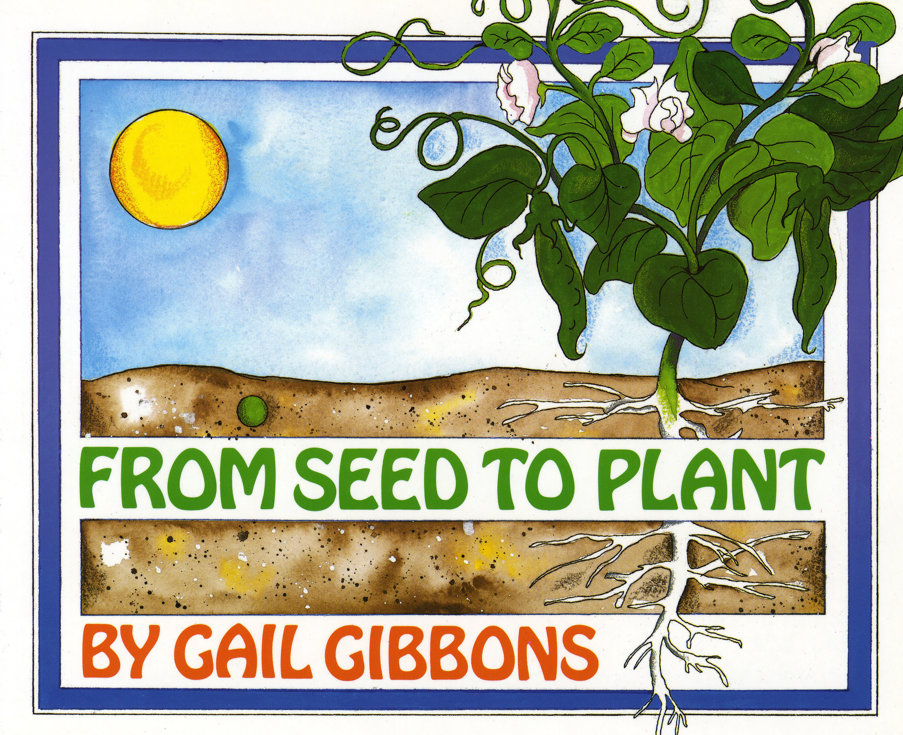 From Seed To Plant (Hardcover Book)