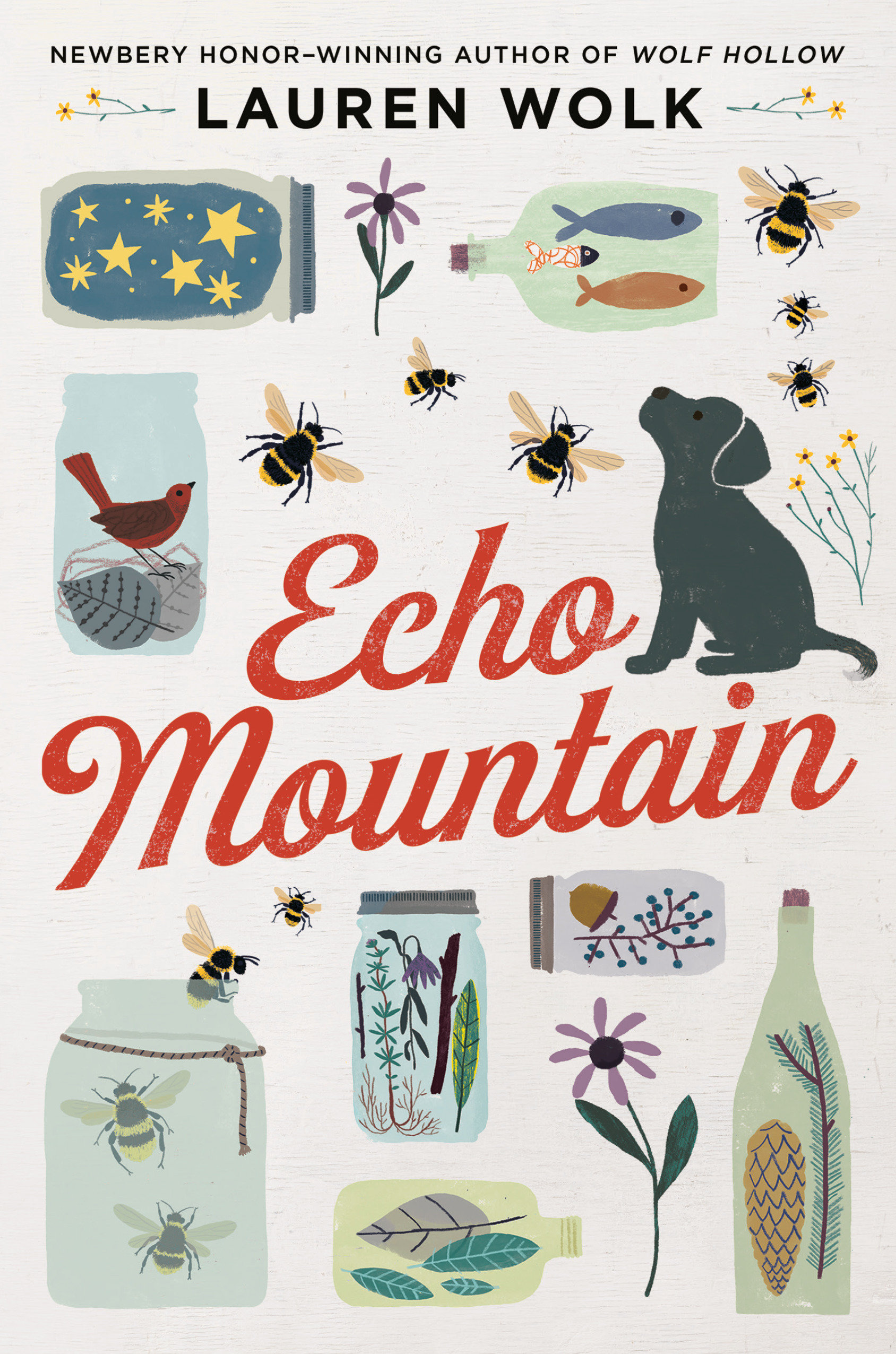 Echo Mountain (Hardcover Book)