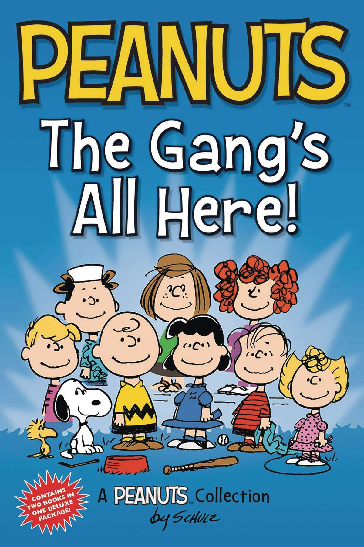 Peanuts Graphic Novel The Gangs All Here