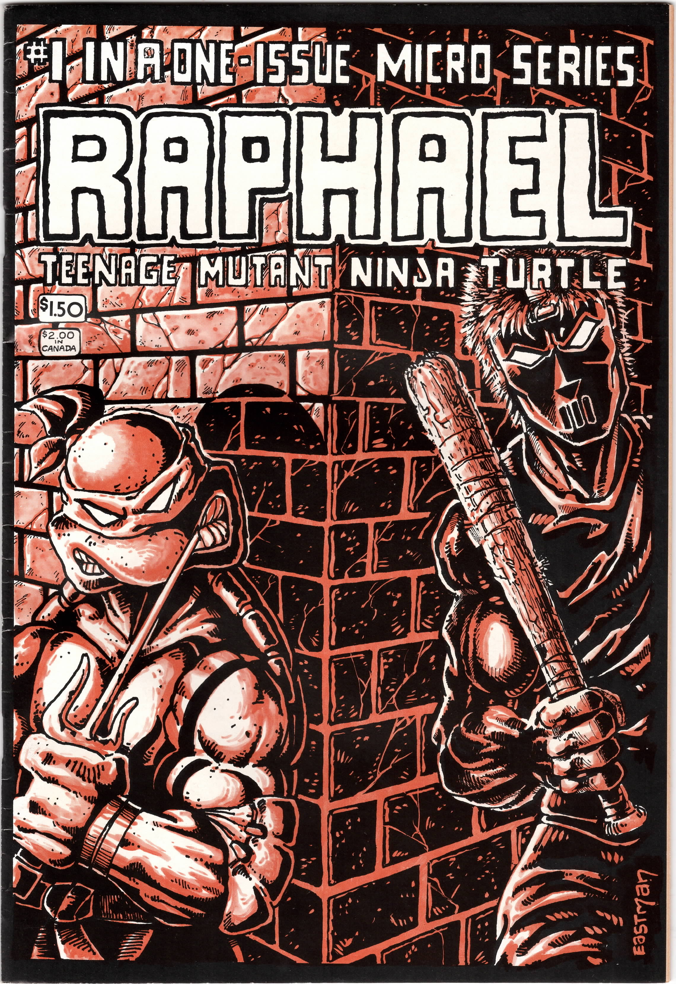 Raphael, Teenage Mutant Ninja Turtle #1