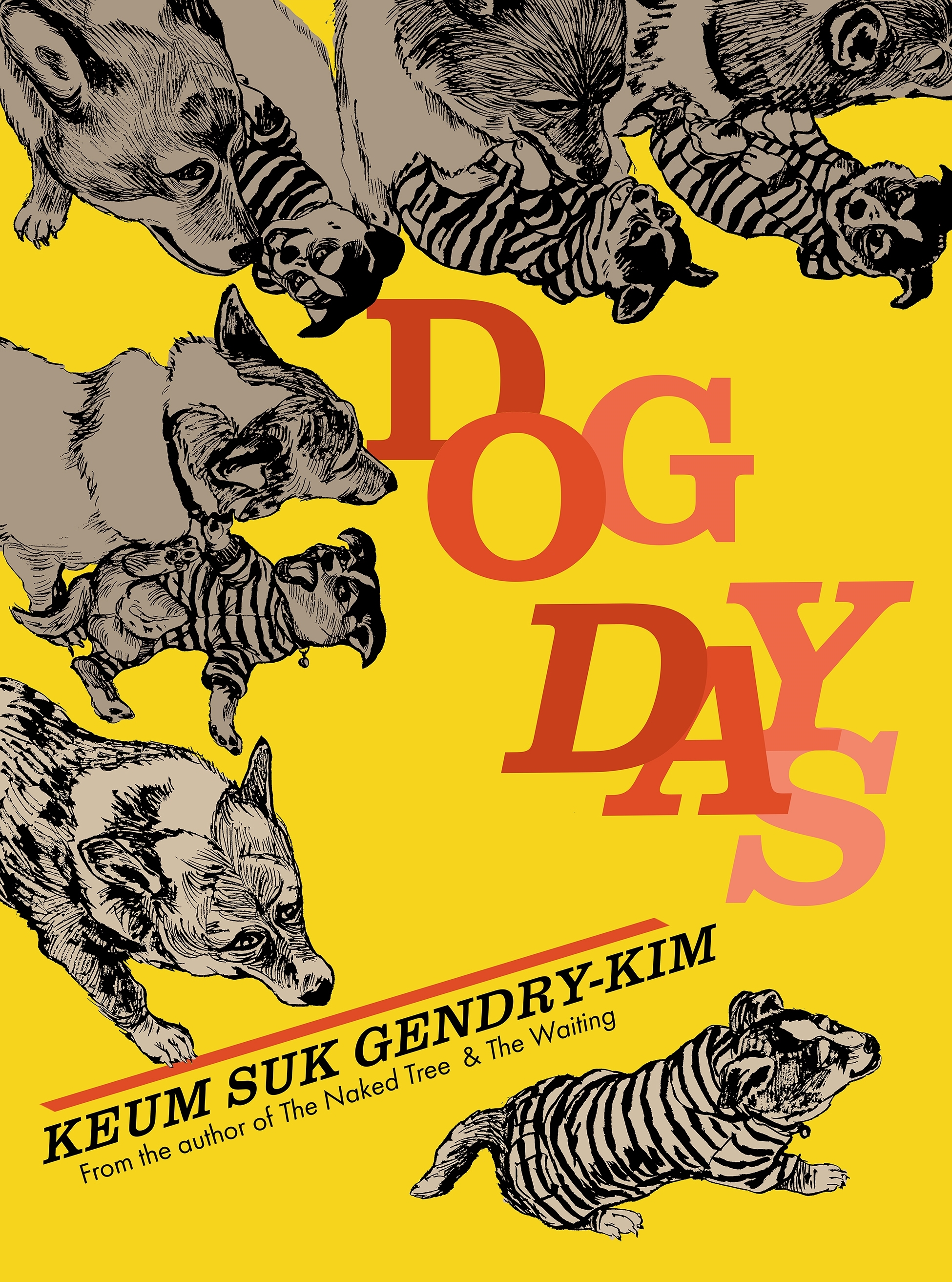 Dog Days Graphic Novel