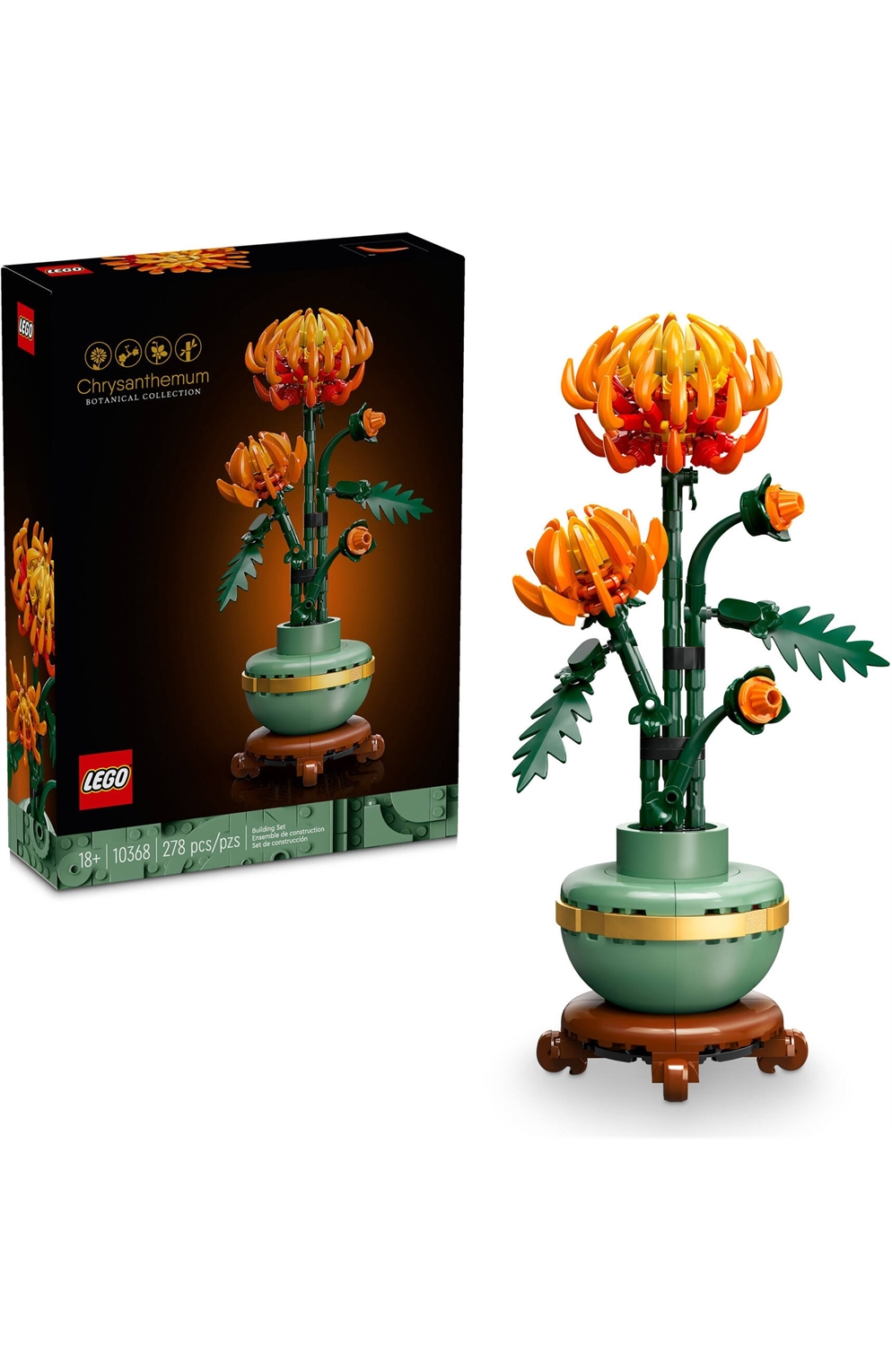 10368 Chrysanthemum