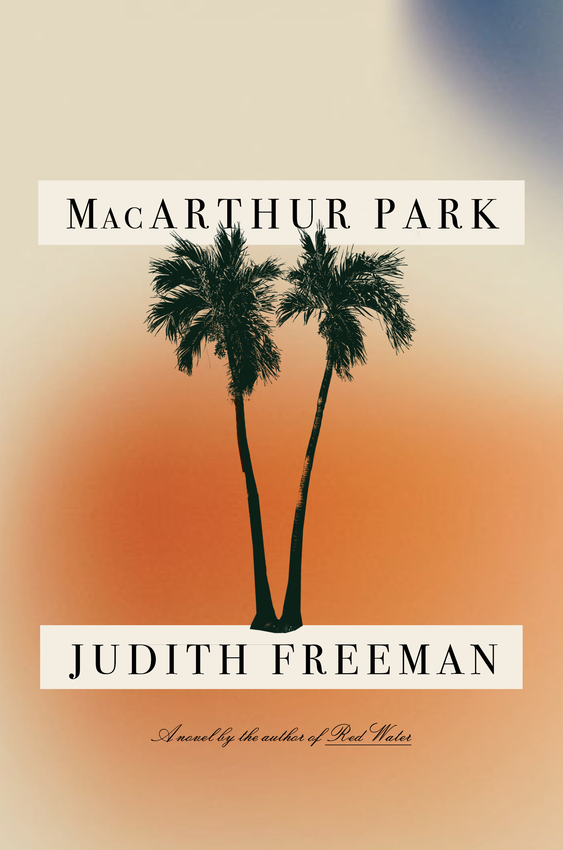 Macarthur Park (Hardcover Book)