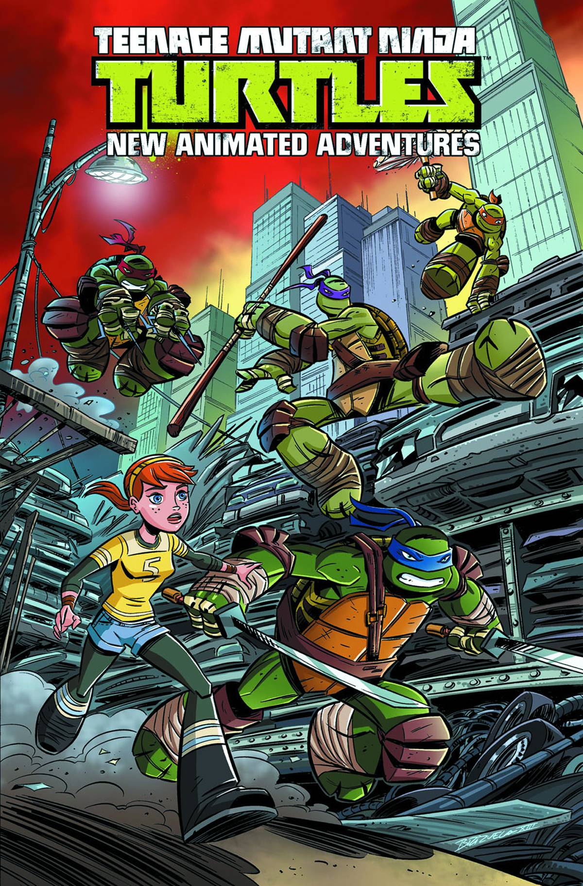 Teenage Mutant Ninja Turtles New Animated Adventures Graphic Novel Volume 1