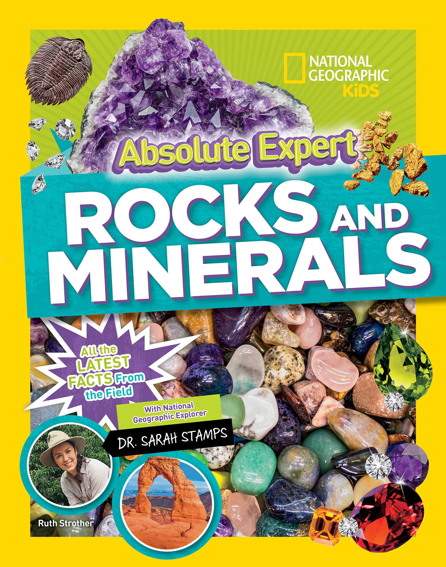 Absolute Expert: Rocks & Minerals (Hardcover Book)